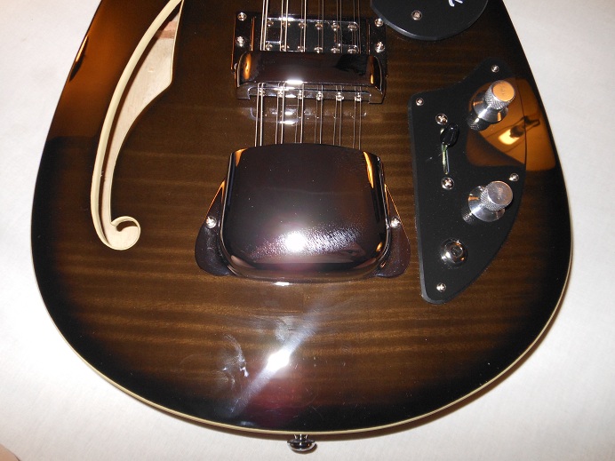 Teardrop Hollow Body 12 String Picture 14